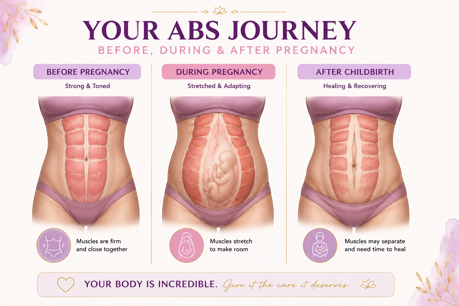Your Abs Journey — before, during and after pregnancy illustration showing how abdominal muscles change through pregnancy and recovery